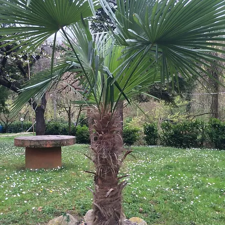 Penzion Irene