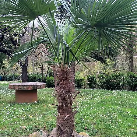 Penzion Irene Monte San Pietro